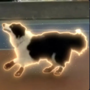 瑪雅
