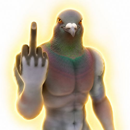 PIGEONS