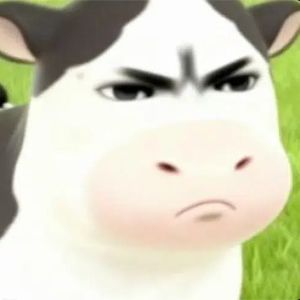 Grassland Cow logo