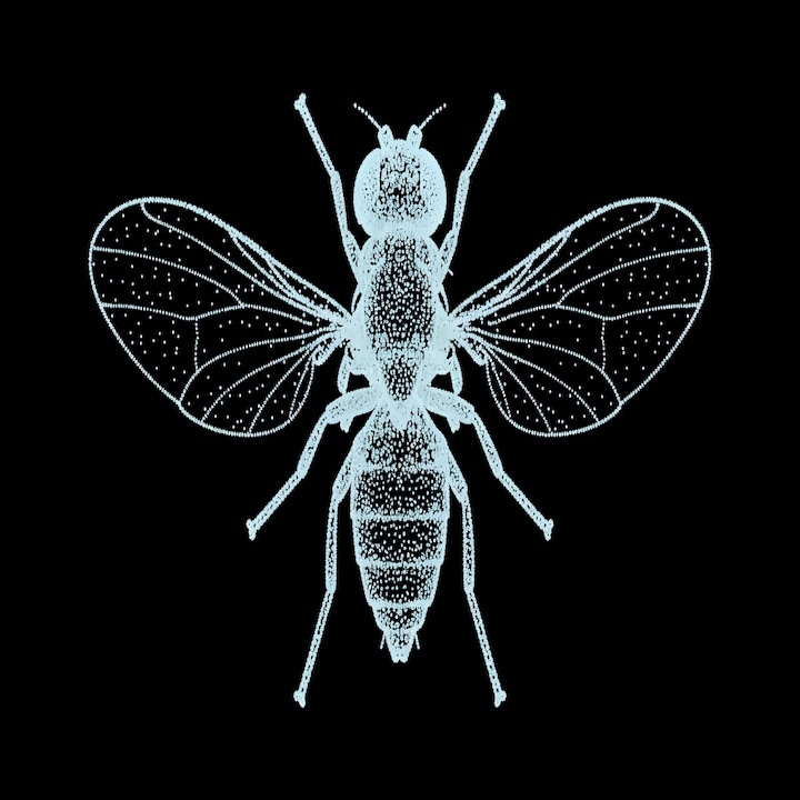 FlyGPT logo