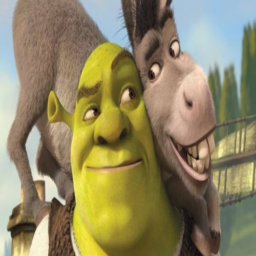 DONKEY 