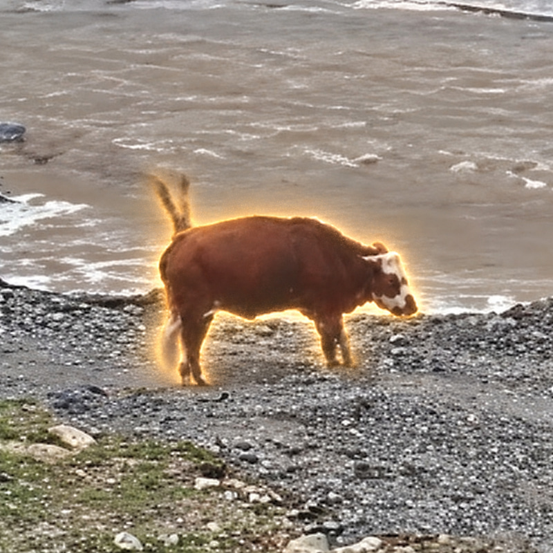 QCOW