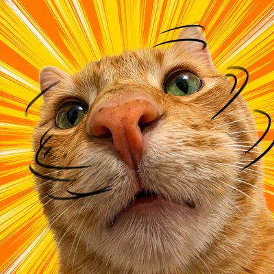 Nocat 