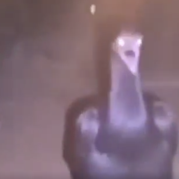 ALLAHUAKBAR