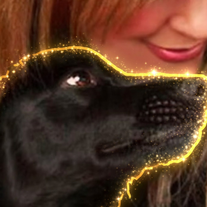 Sheltie logo