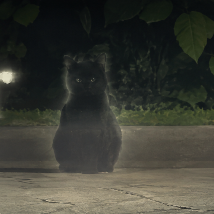 Catsper
