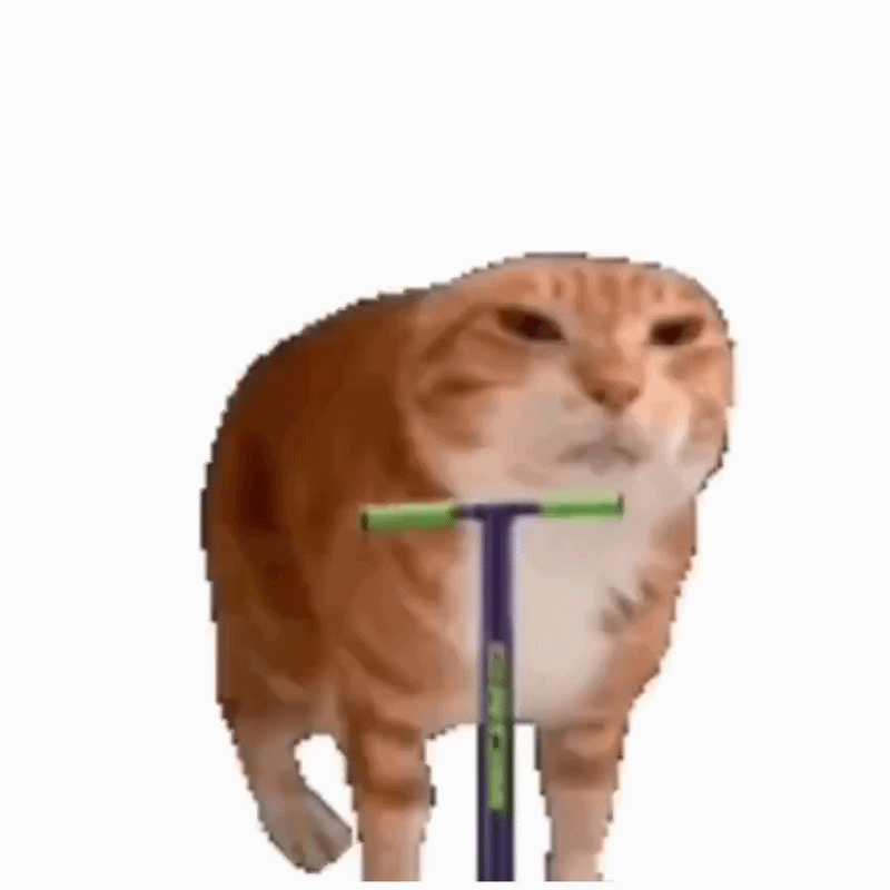 pogocat