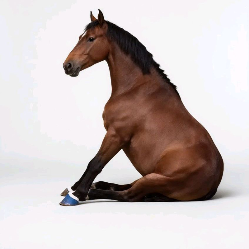 Spinning Horse logo