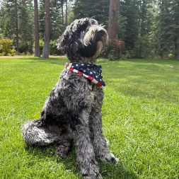 BENNY