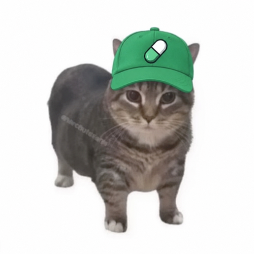 Pumpfuncat logo