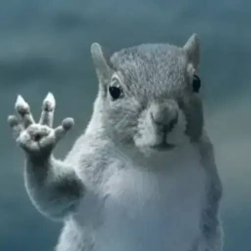 Squirrel