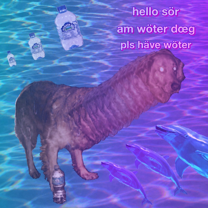 doeg