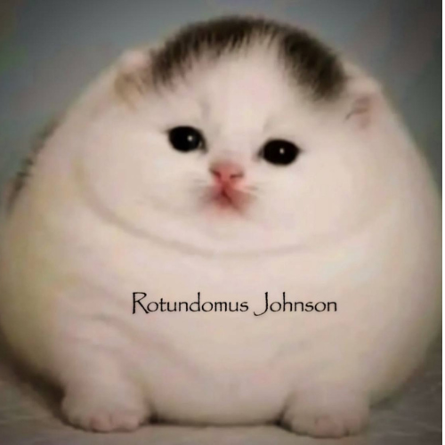 RJ