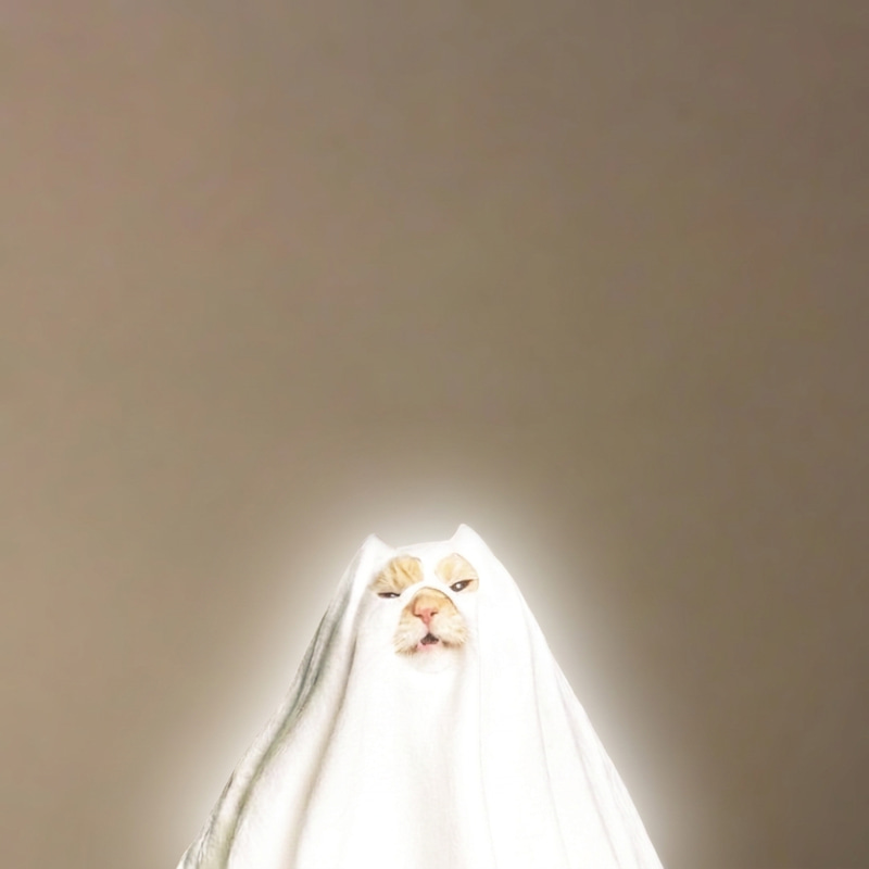 ㅤㅤ