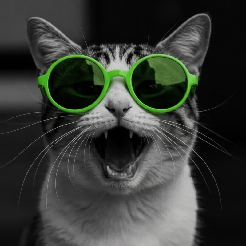OKXCat