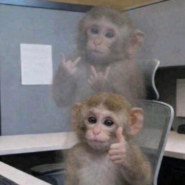 APE