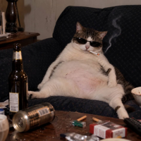 DCAT