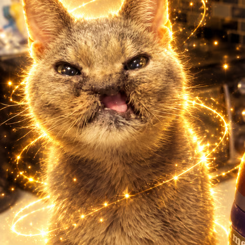 Frankie The Electrocuted Cat logo