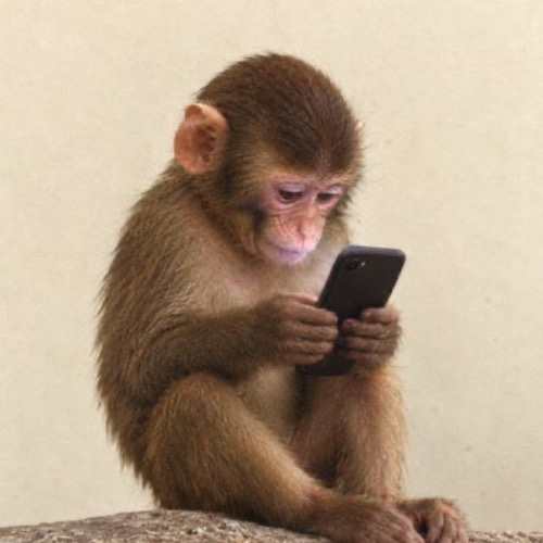 fone2