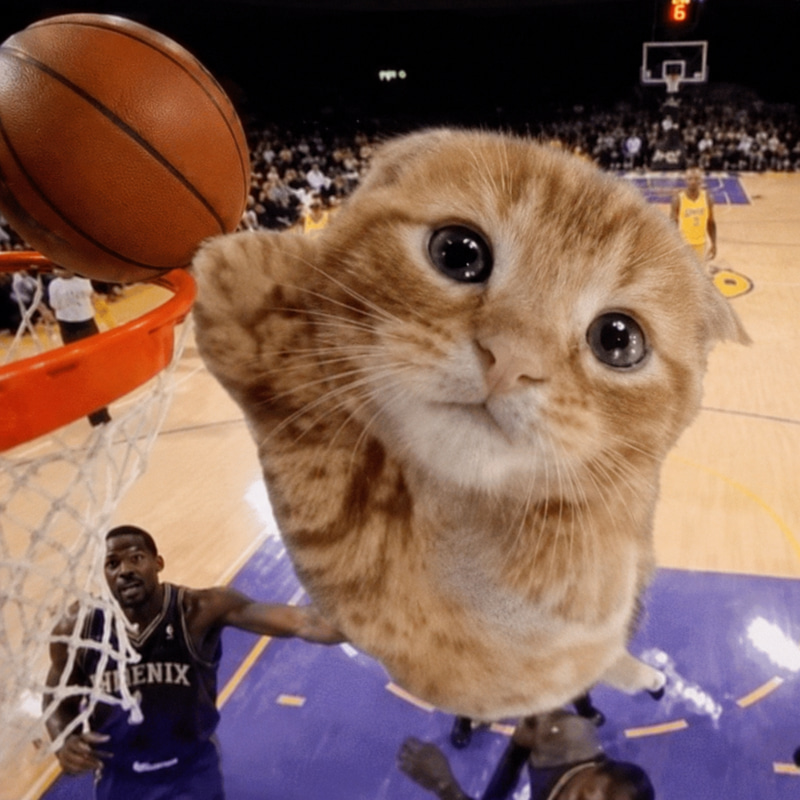 ballcat