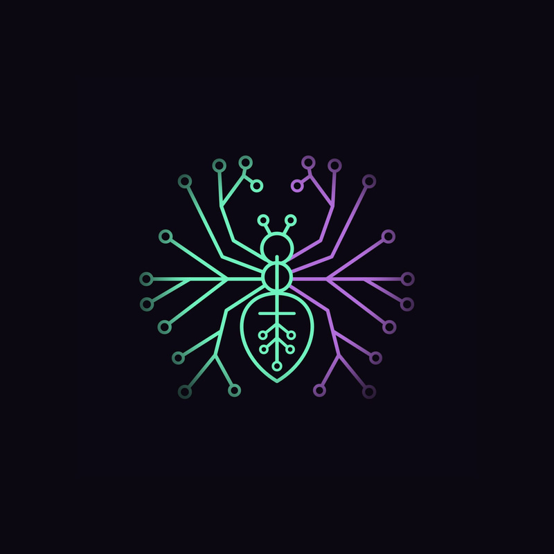SpiderWeb logo