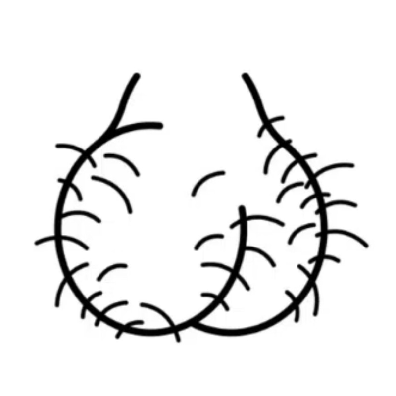 Testicles Coin logo