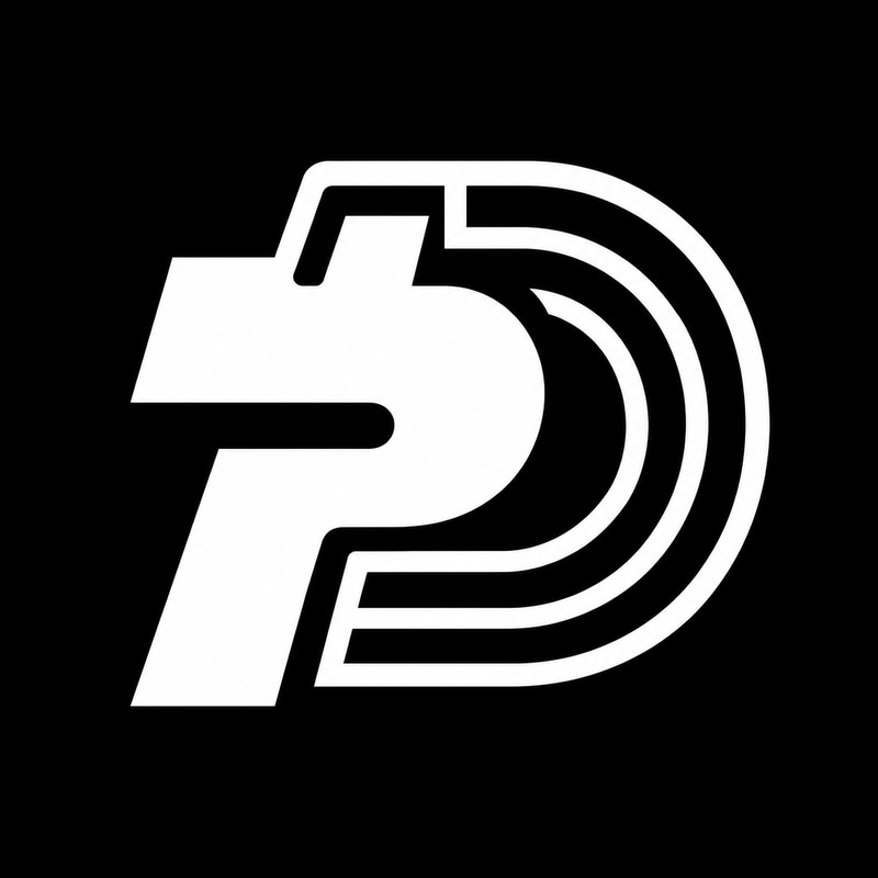 Paid Debt logo