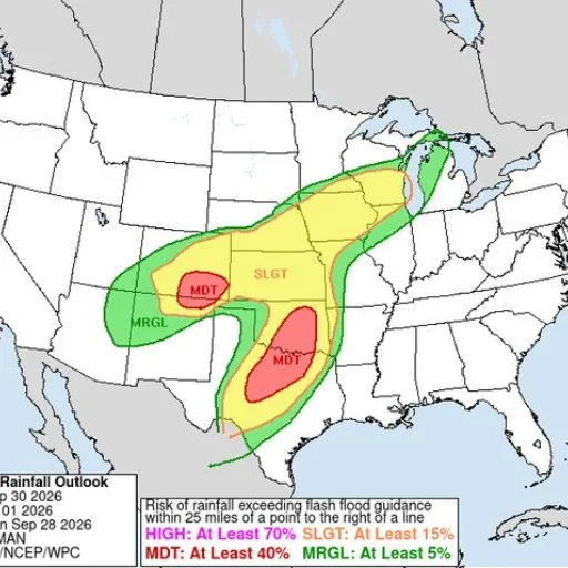Dicknado
