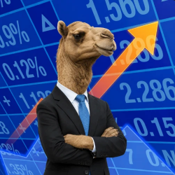 Camel