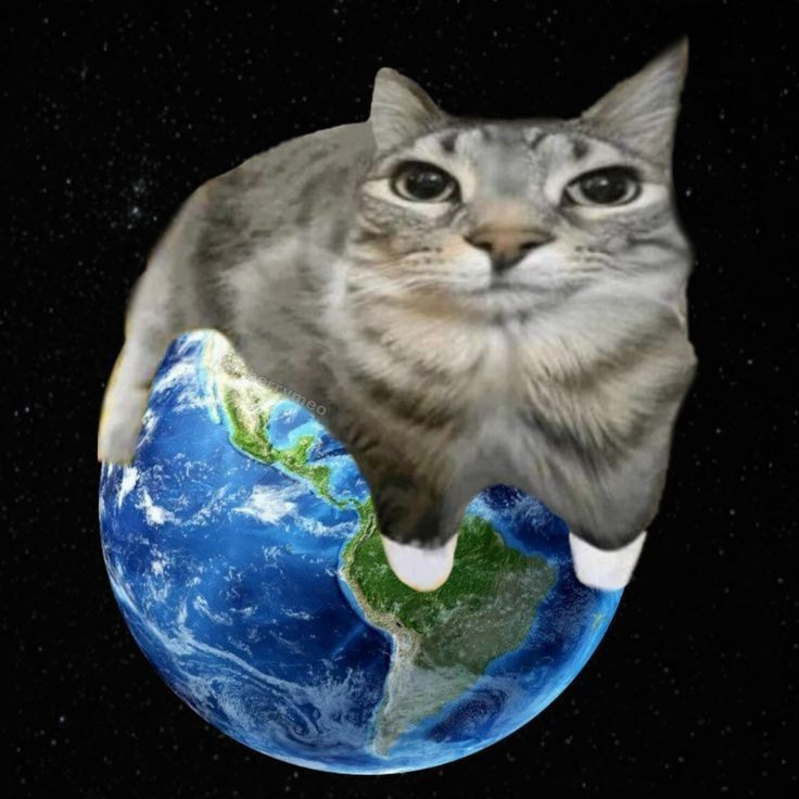 INTERNATIONAL