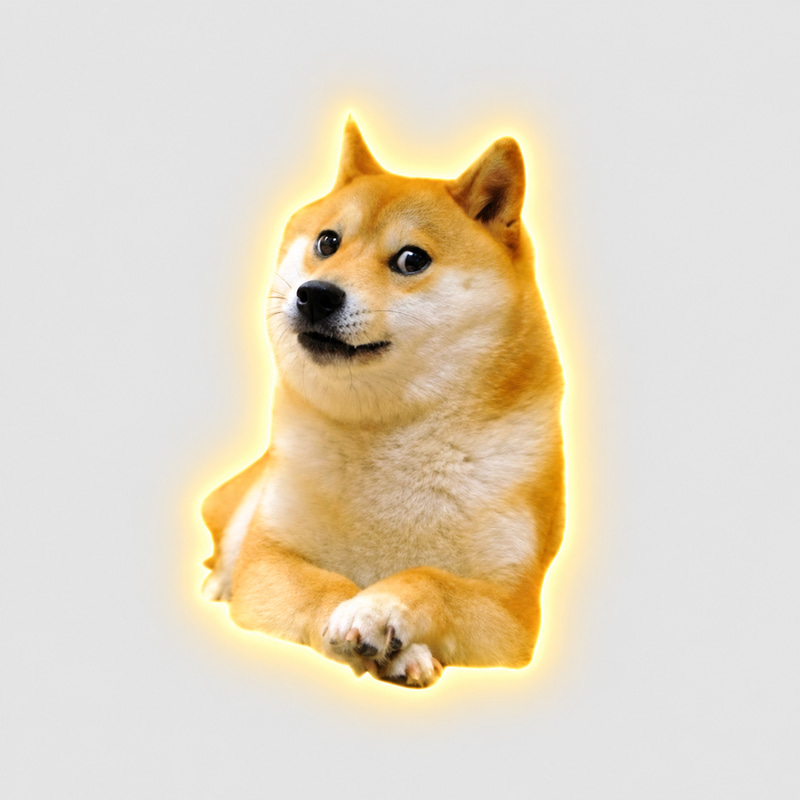 World Record Dog logo