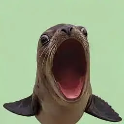 Marcus The Popseal logo