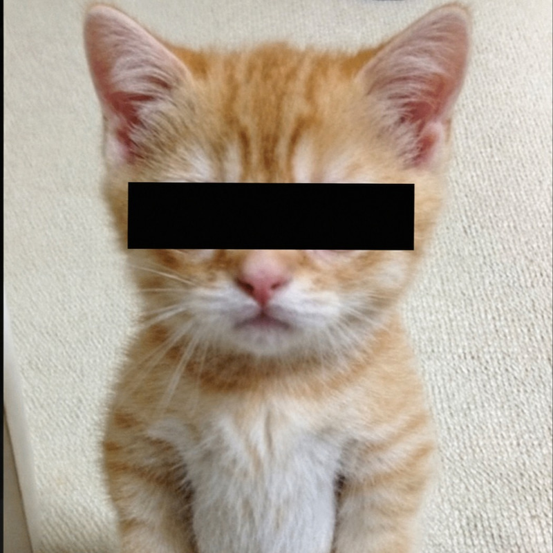 RCAT
