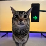 SIGNAL