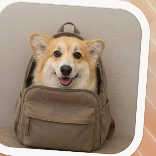 Dog In Backpack logo
