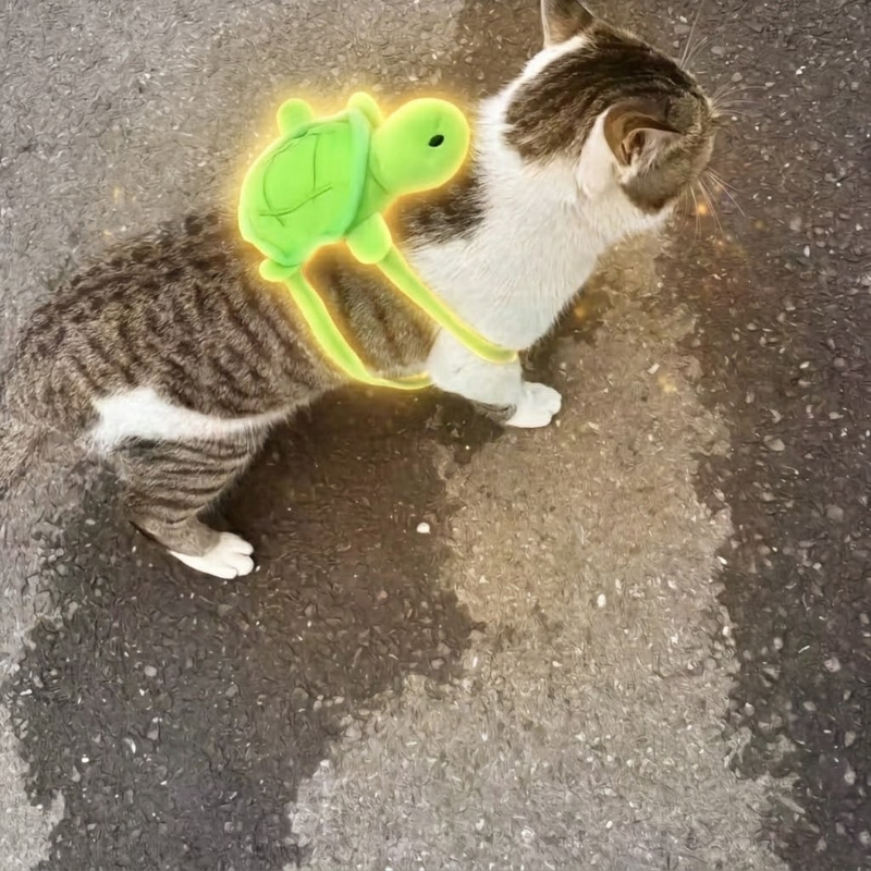 TURTPACK