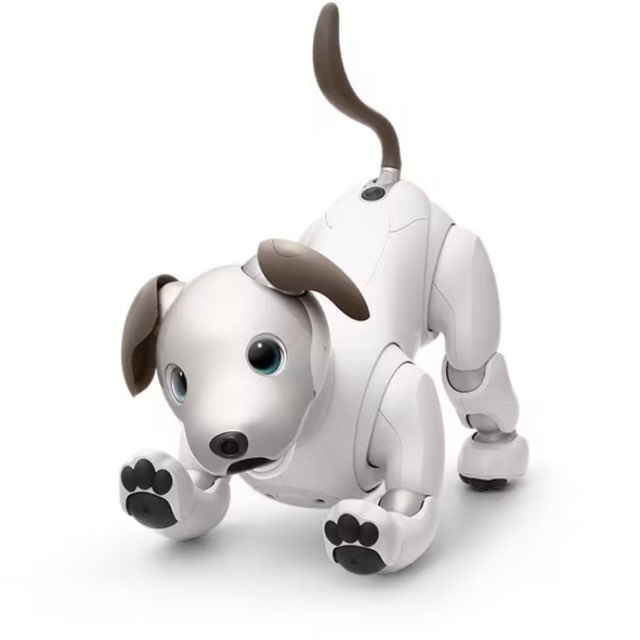 AIBO