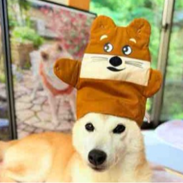 SHIBU