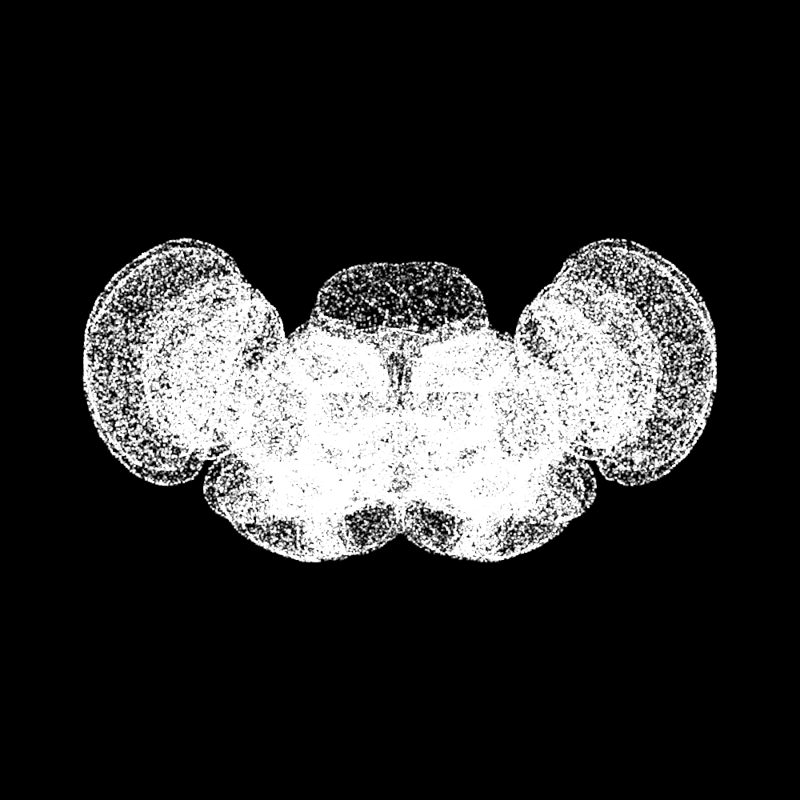 BRAIN