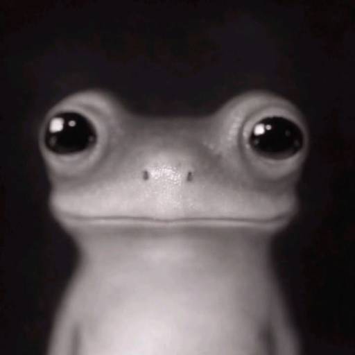 prog
