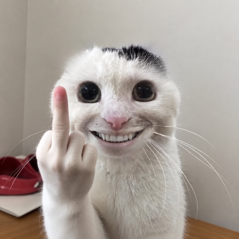 红尘飞