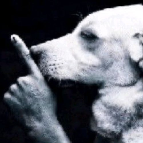 shhh