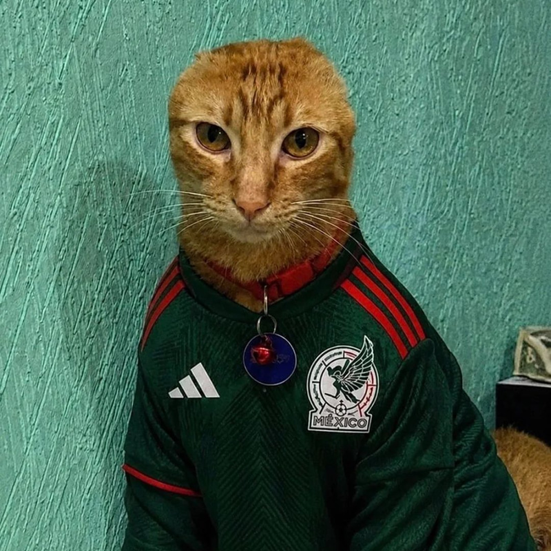 CARLOS