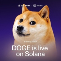 $SOLDOGE