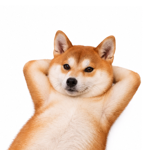 talkdog