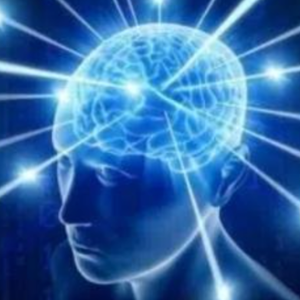 Brain