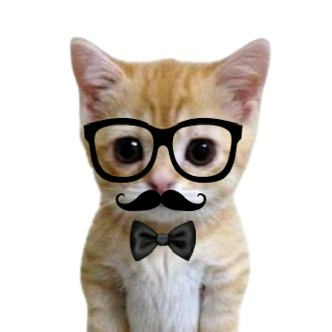 PHDkitty logo