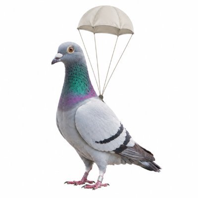 The Airdrop Pigeon logo