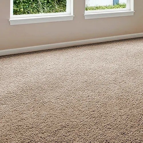 carpet