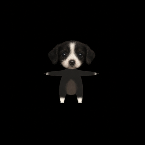 MICRODOG